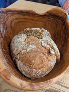 20251009_PXL111119469_Pixel7a-JEB